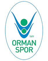 OGM Ormanspor
