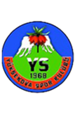 Yüksekova Spor Kulübü