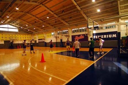 Fenerbahce Spor Kulubu Resmi Sitesi Turkiye Nin En Gelismis Spor Kulubu Portali