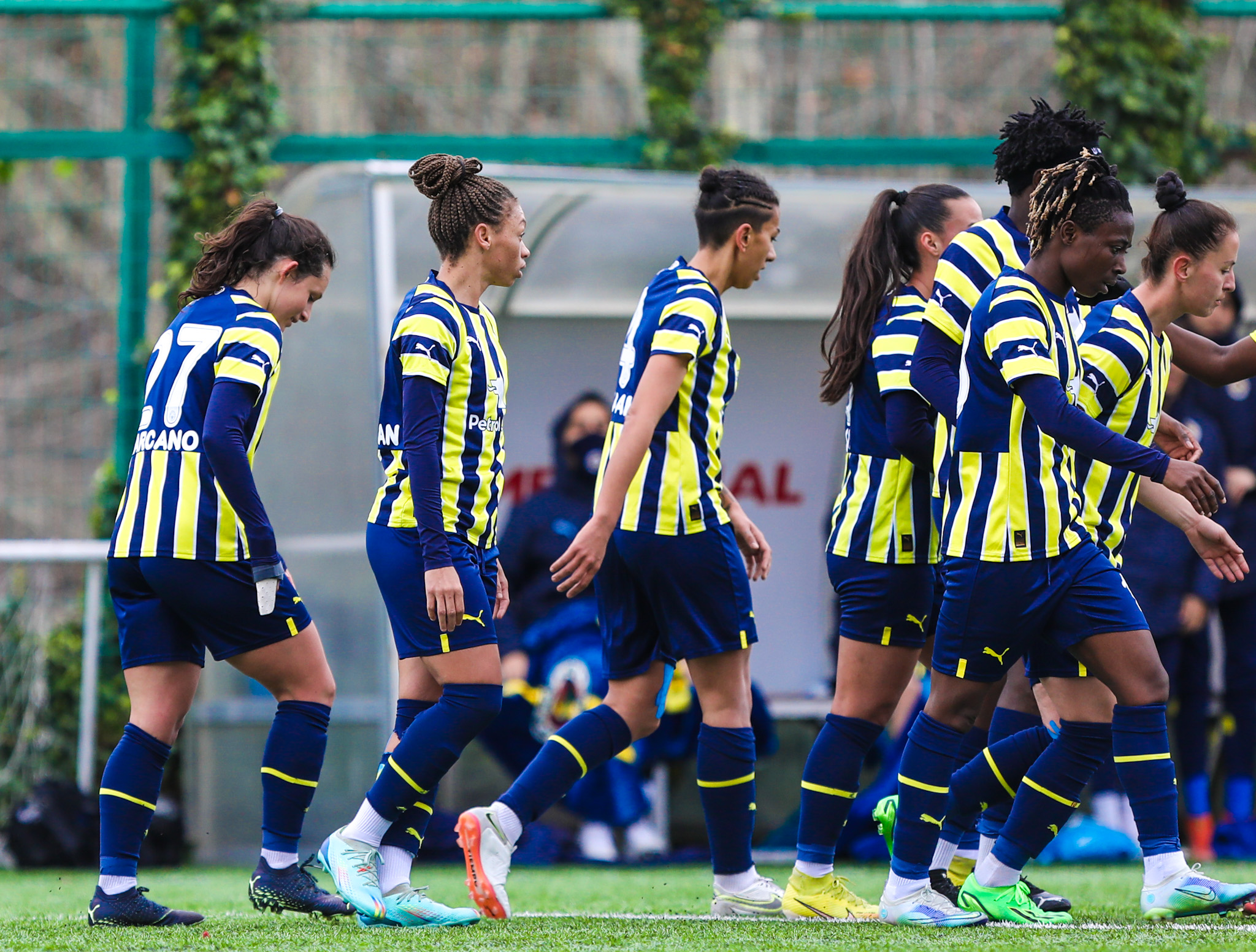 Fenerbahçe Petrol Ofisi 4-0 Amed Sportif Faaliyetler