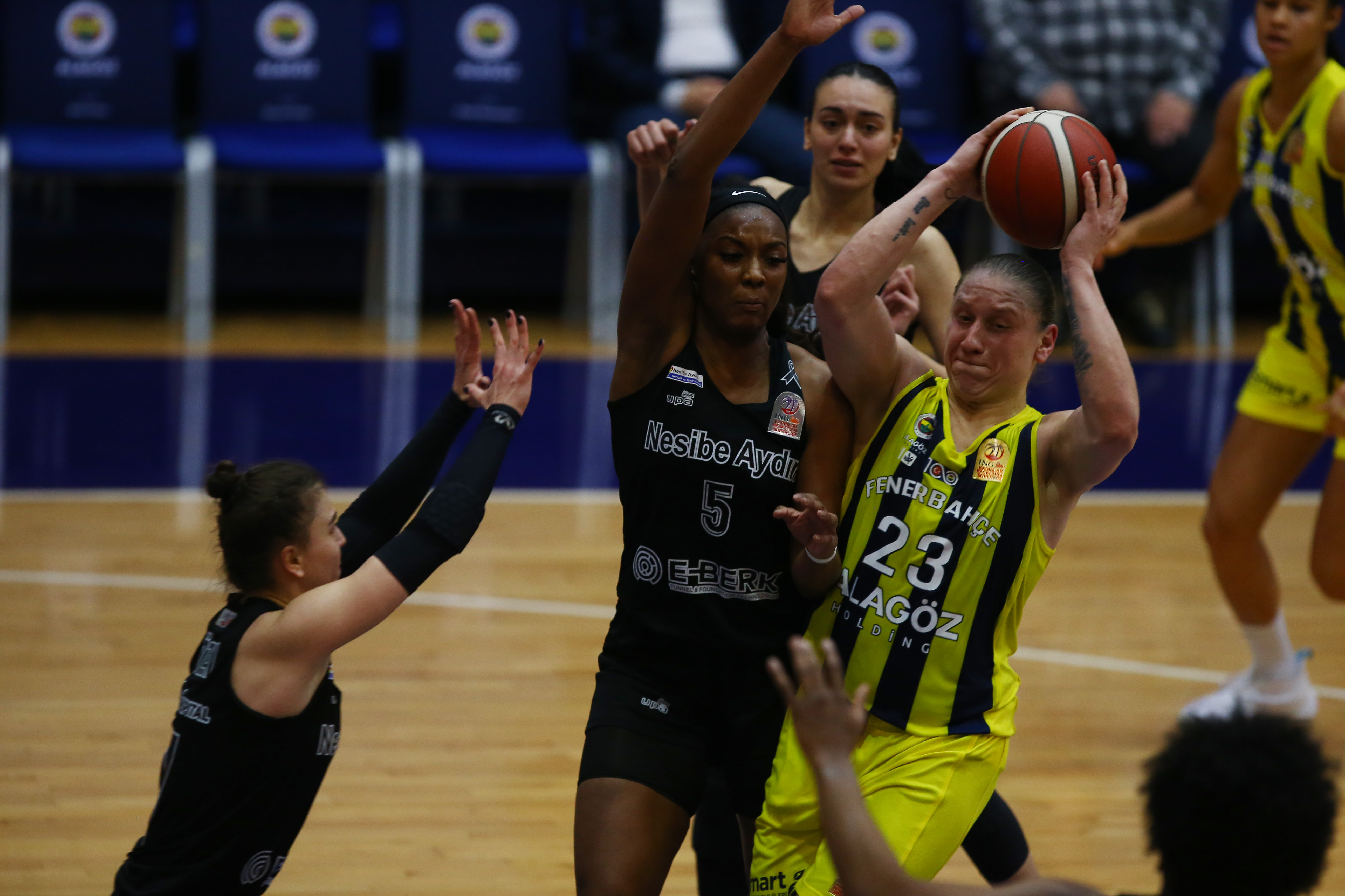 Fenerbahçe Alagöz Holding 82-81 Nesibe Aydın