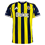 Fenerbahçe 2025 Çubuklu Erkek Forma