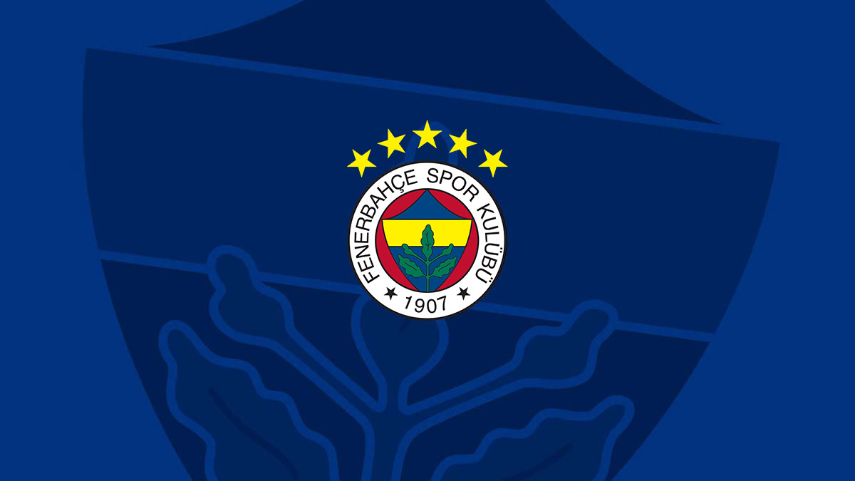 Fenerbahçe SK: Bilgilendirme